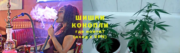 прущая мука Ельня
