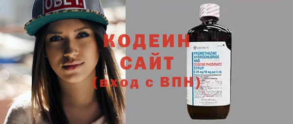 ГАЛЛЮЦИНОГЕННЫЕ ГРИБЫ Осинники