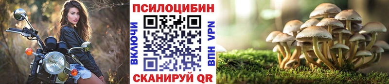 Галлюциногенные грибы GOLDEN TEACHER  Морозовск 